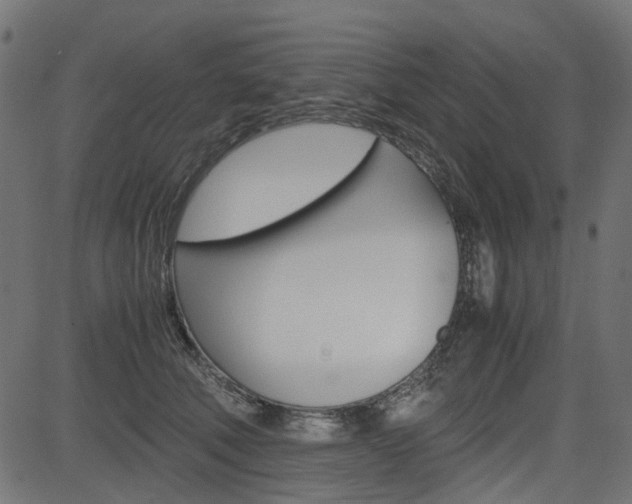 X0000082950610200702011049