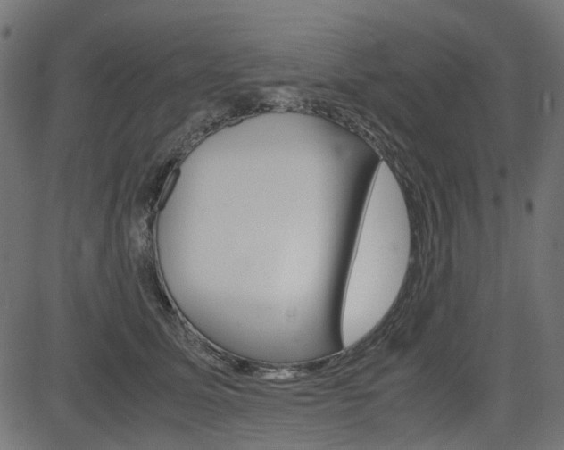 X0000082950611200702011049