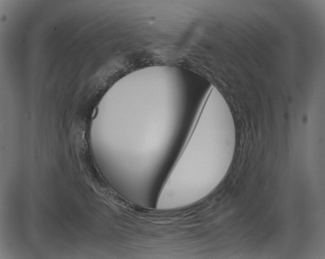 X0000082950615200702011049