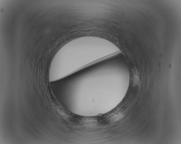 X0000082950619200702011049