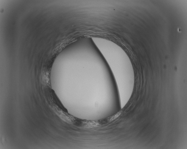 X0000082950621200702011049