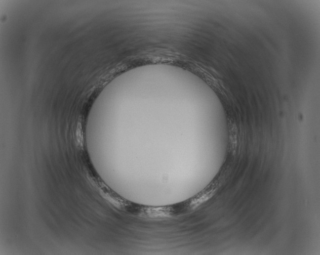 X0000082950622200702011049