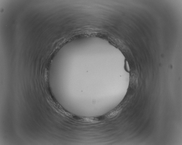 X0000082950623200702011049