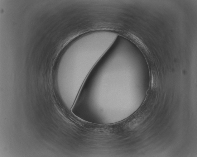 X0000082950627200702011048