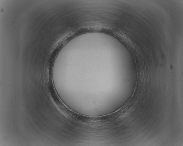 X0000082950638200702011049