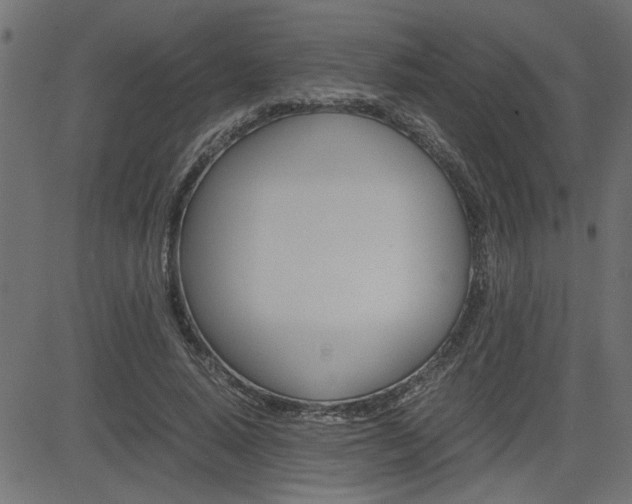 X0000082950640200702011049