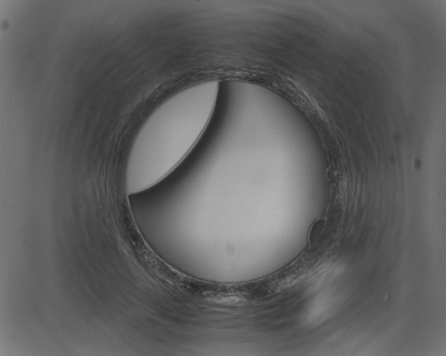 X0000082950643200702011049