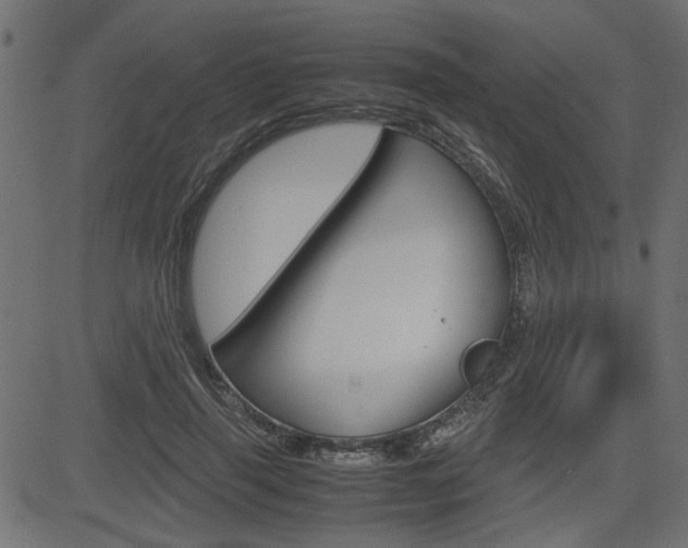 X0000082950645200702011049