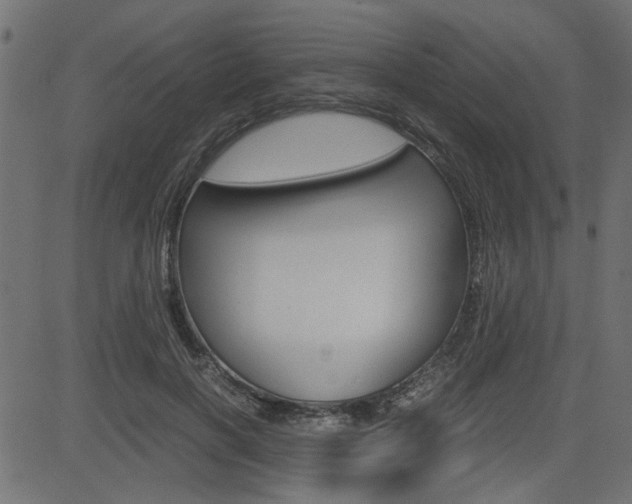 X0000082950646200702011049