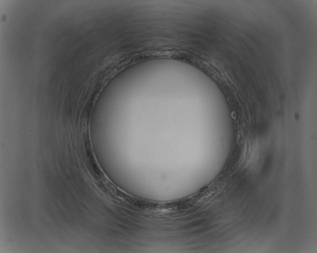 X0000082950647200702011049