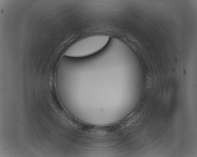 X0000082950648200702011049