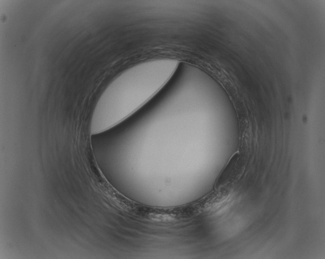 X0000082950649200702011049
