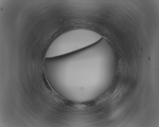 X0000082950650200702011049