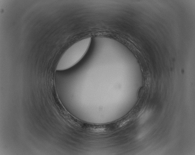 X0000082950651200702011049