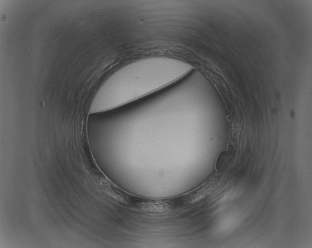 X0000082950652200702011049