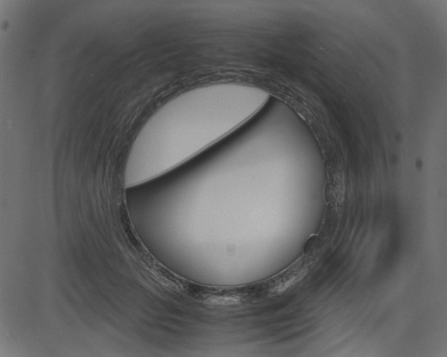 X0000082950653200702011049