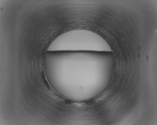 X0000082950654200702011049
