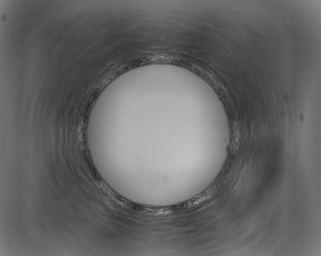 X0000082950667200702011049
