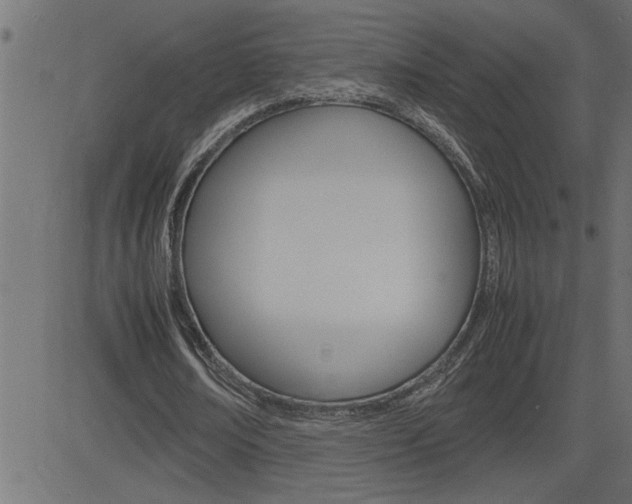 X0000082950674200702011048