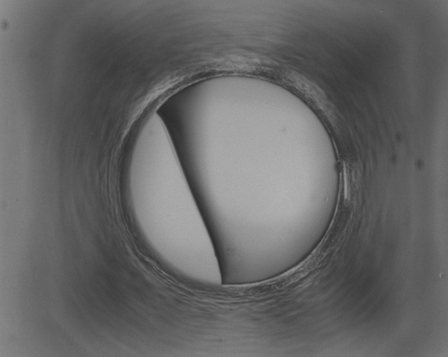 X0000082950675200702011048