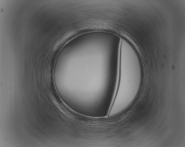 X0000082950677200702011048