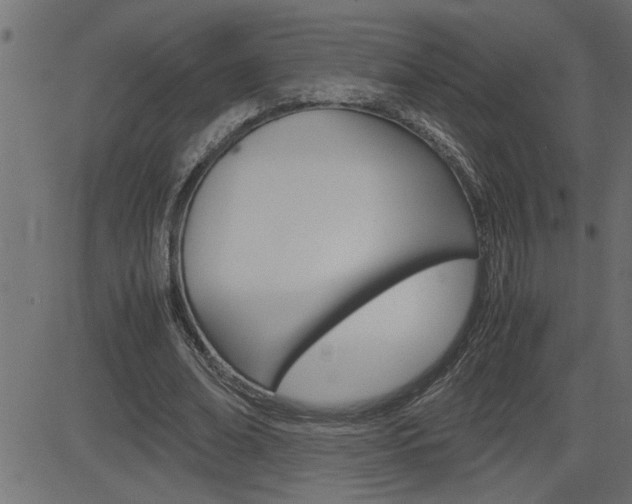 X0000082950678200702011048