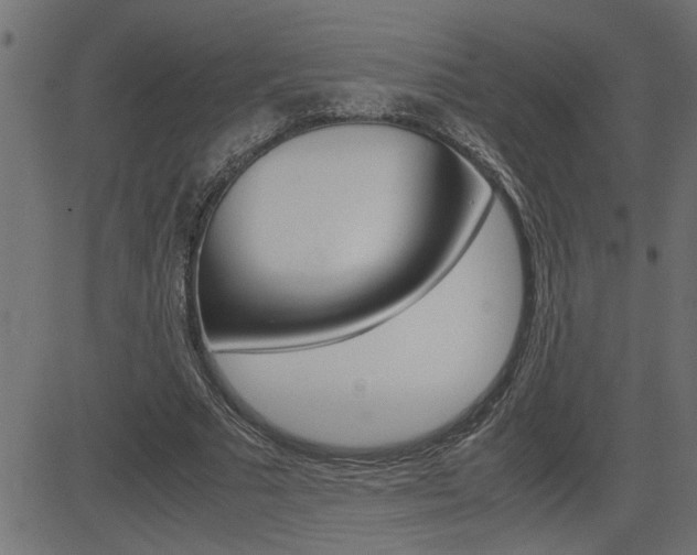X0000082950681200702011048