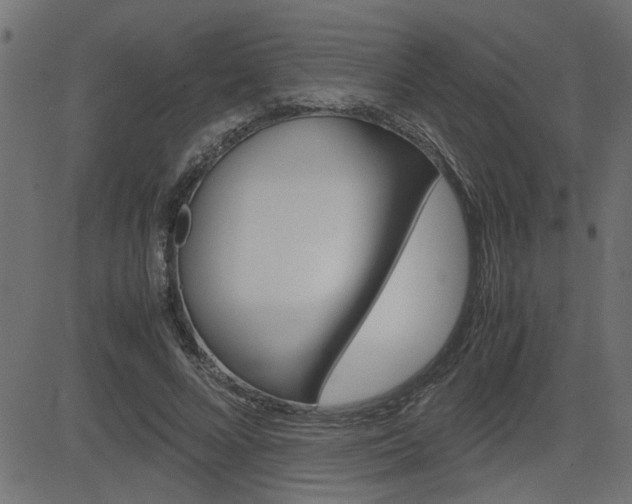 X0000082950688200702011048