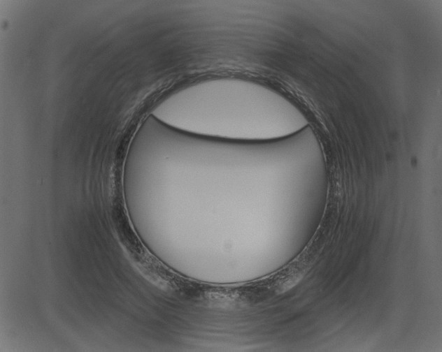 X0000082950690200702011048