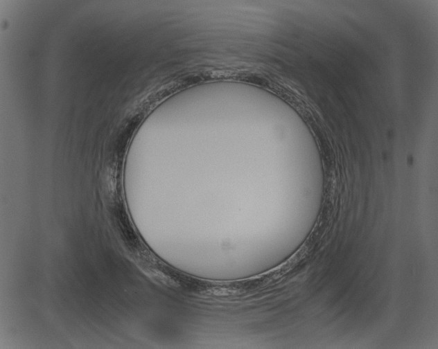 X0000082950691200702011048