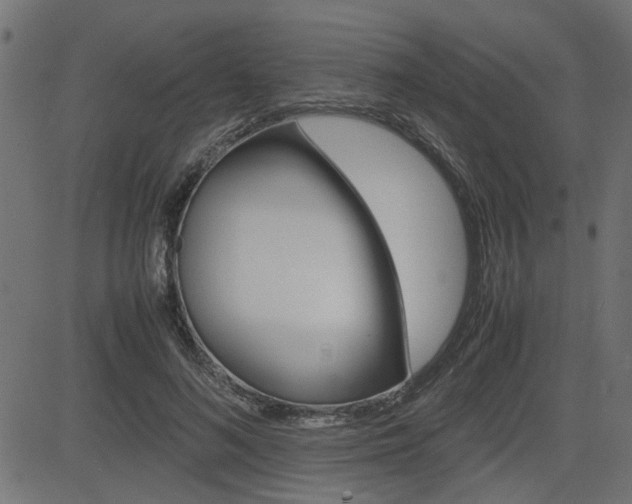 X0000082950692200702011048