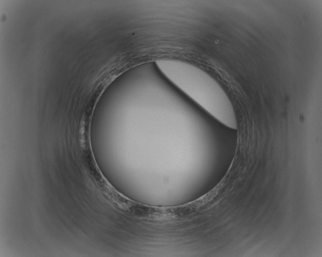 X0000082950696200702011048