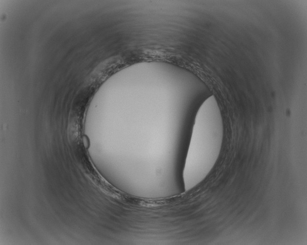 X0000082950706200702011048