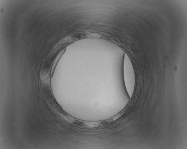 X0000082950713200702011048