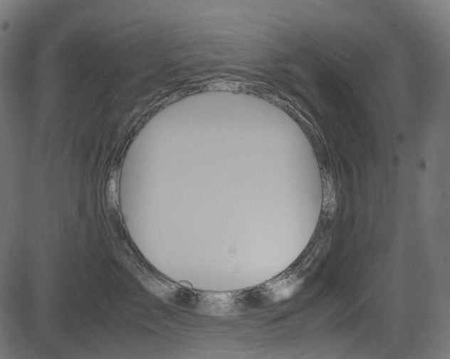 X0000082950717200702011048