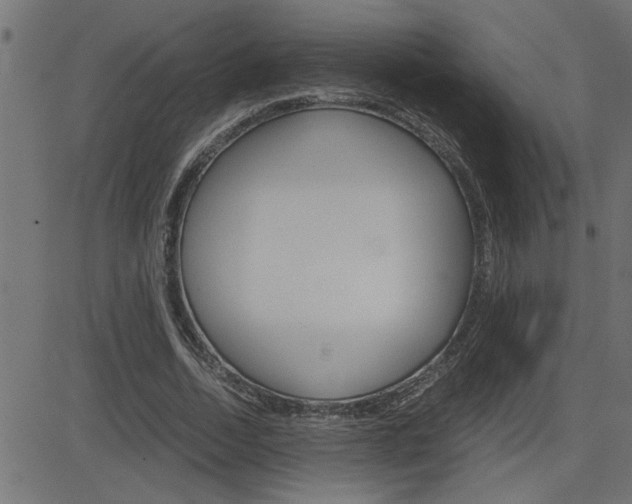 X0000082950730200702011047