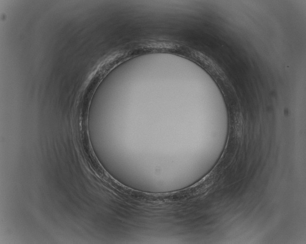 X0000082950731200702011047