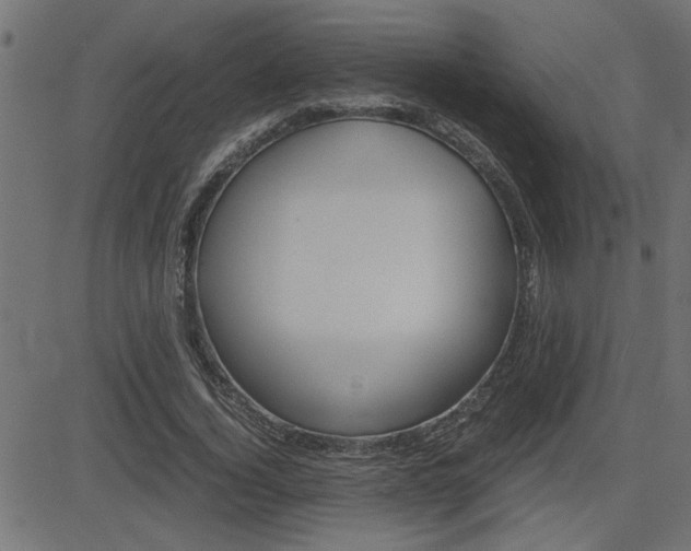 X0000082950732200702011047