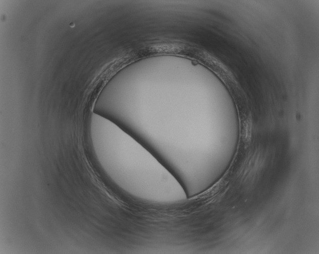 X0000082950733200702011047