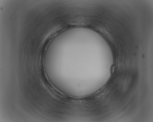 X0000082950735200702011047