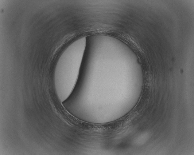 X0000082950738200702011047