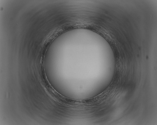 X0000082950742200702011047