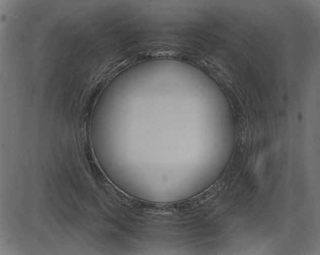 X0000082950743200702011047