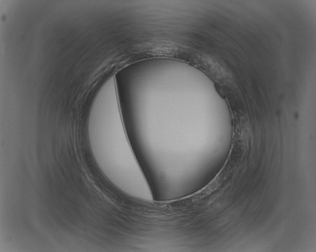 X0000082950744200702011047
