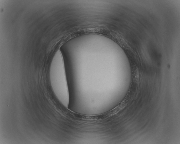 X0000082950746200702011047