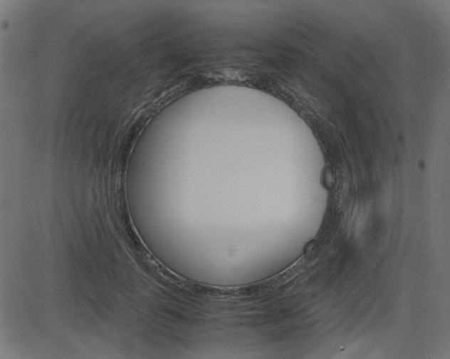 X0000082950747200702011047