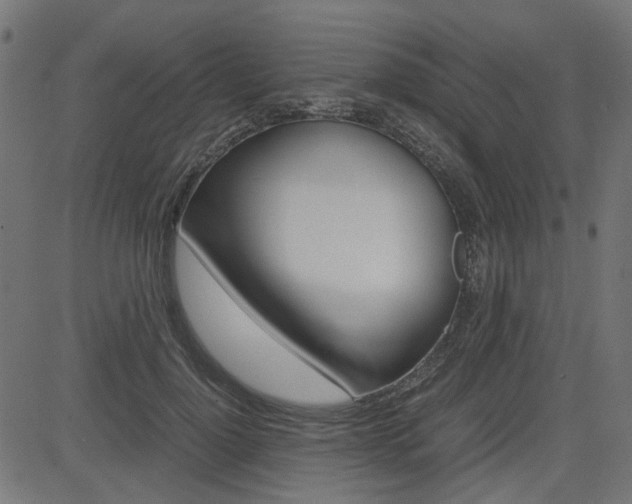 X0000082950748200702011047