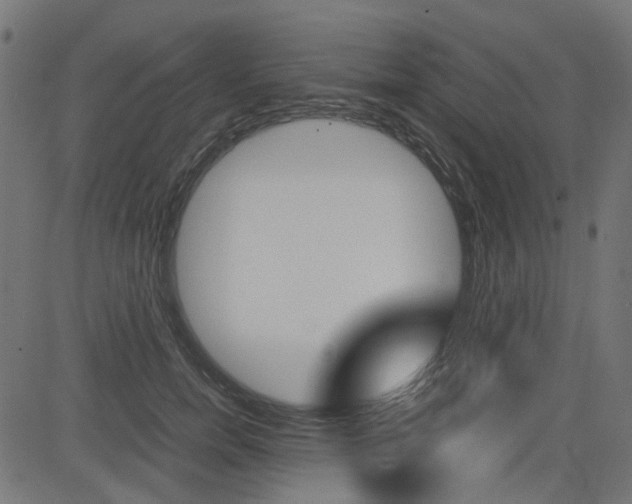 X0000082950750200702011047