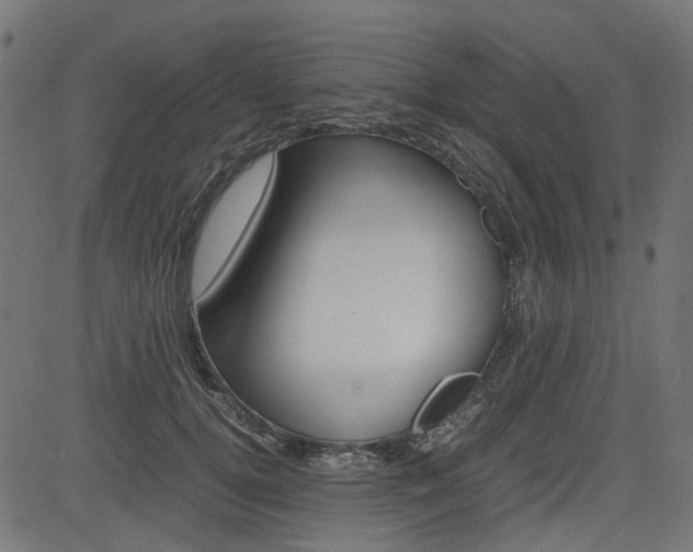 X0000082950752200702011047