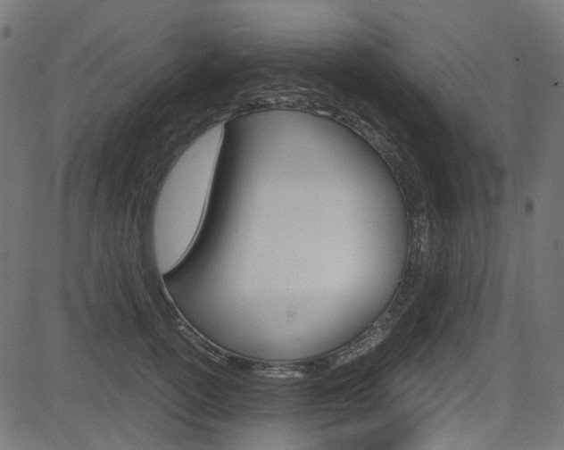 X0000082950754200702011047